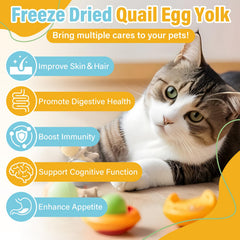 SHANDR freeze dried quail egg yolk close-up emphasizes protein-rich yolk and preserved flavor.