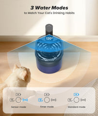 Shandus wireless cat water fountain on table showing cordless placement flexibility