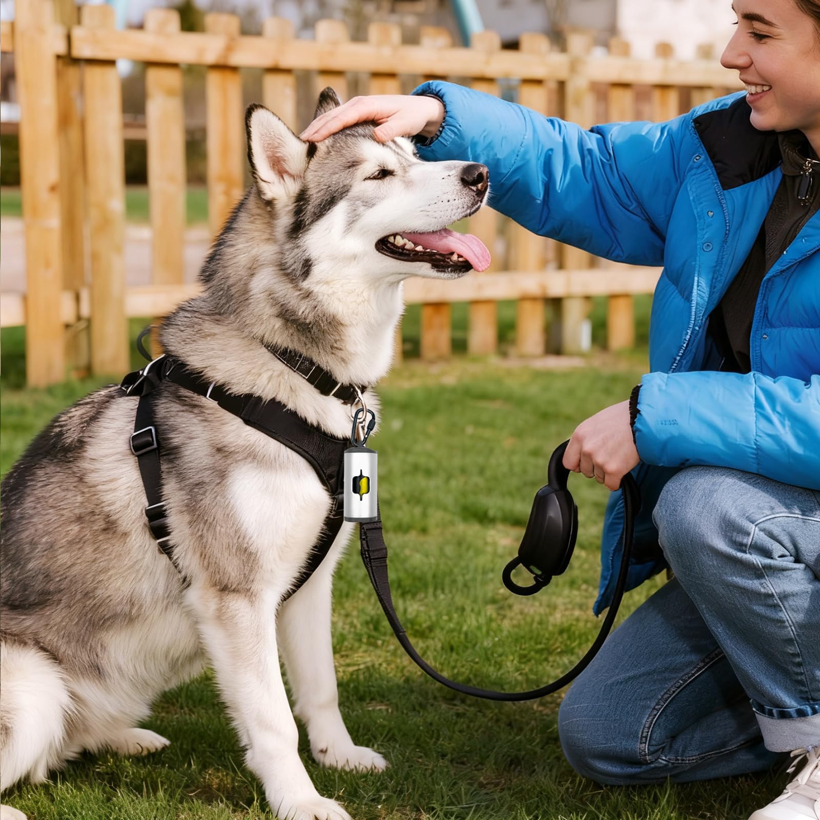 SHAOUMAN complete kit—two holders and six accessories for multi-dog households.