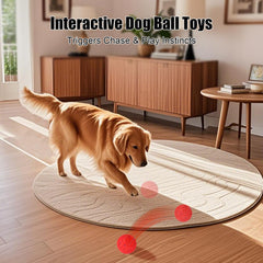 Shapana dog toy in Crazy Mode action fuels energetic play sessions.