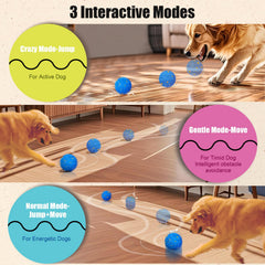 Shapana Interactive Ball diameter 3.2-inch shows ideal size for medium and large dogs.