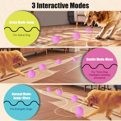 Shapana Interactive Dog Ball shown at 3.2-inch diameter for medium and large dogs.