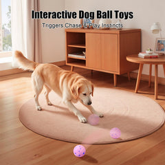Shapana Interactive Dog Ball demonstrates three modes for varied play styles.