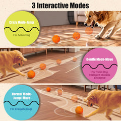 Shapana Interactive Dog Ball water-resistant image highlights reliable indoor-outdoor fun during rain or splashes.