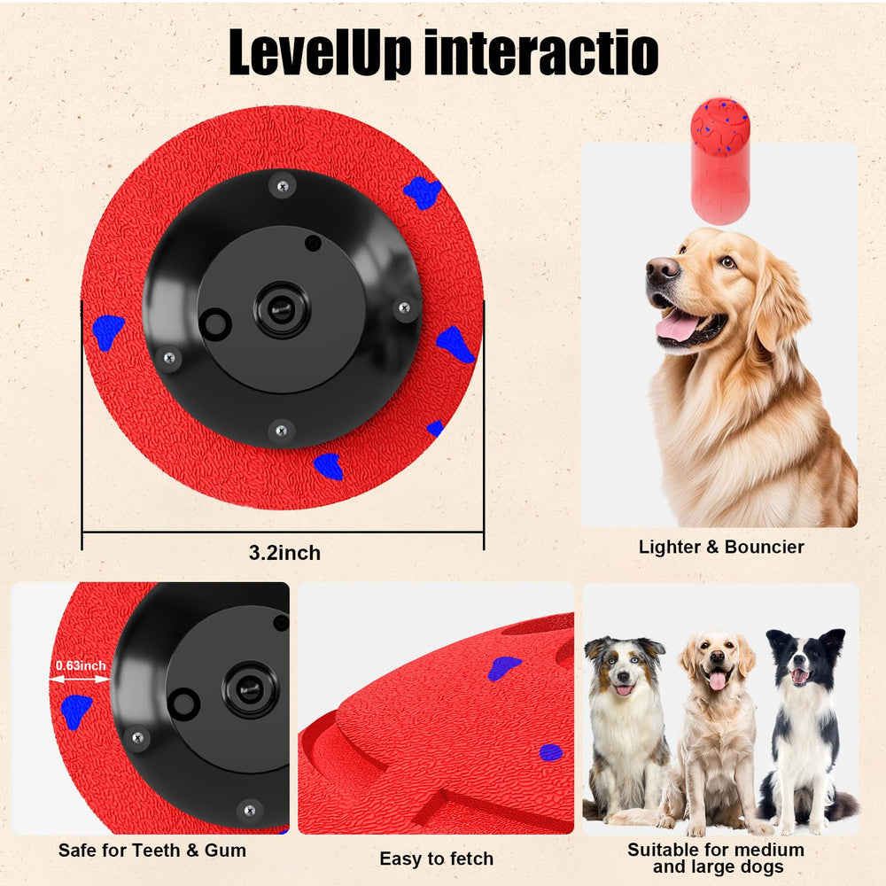 Shapana suitable for medium to large dogs promotes exercise and focus.
