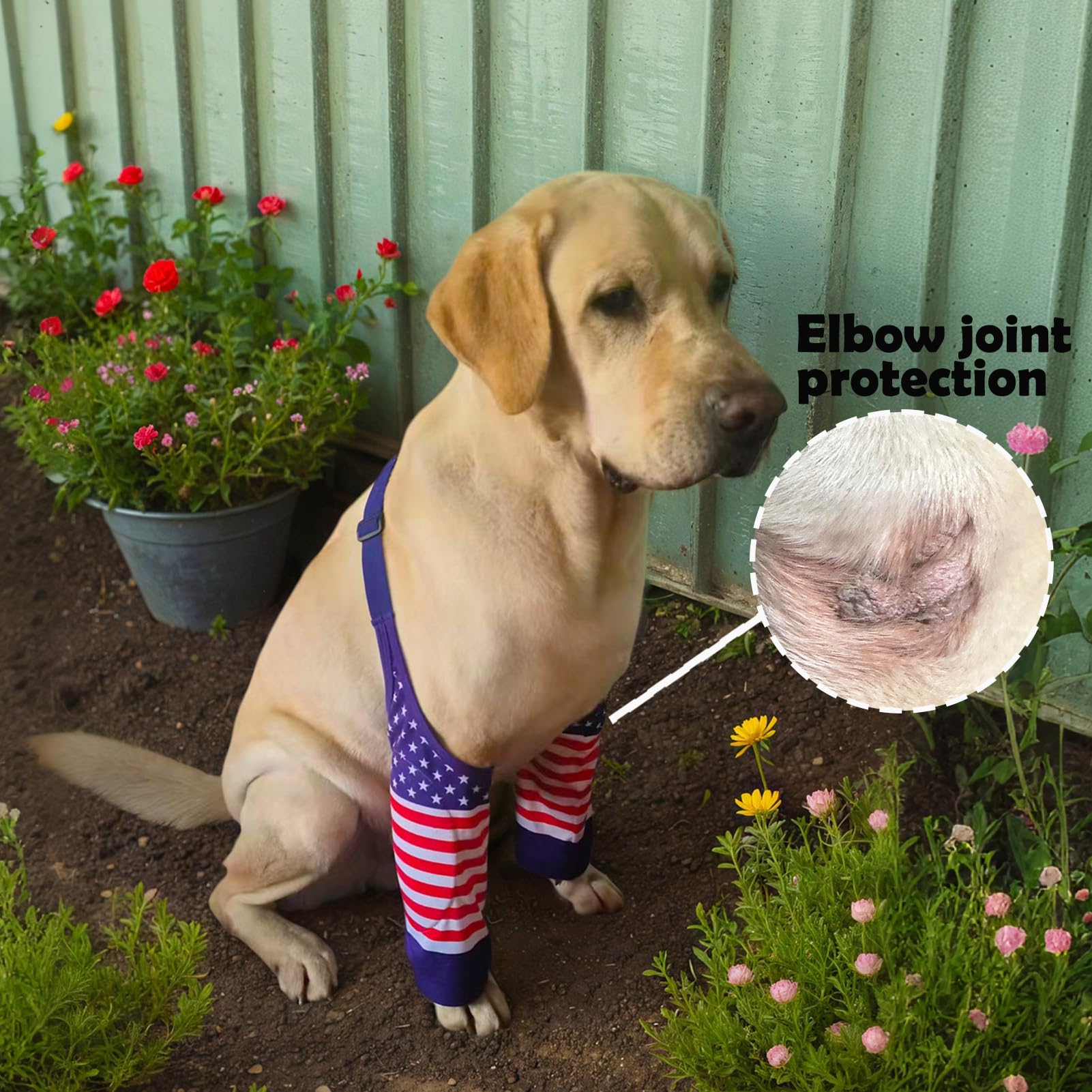 Sharkwill elbow wrap in American Flag pattern boosts visibility during walks.
