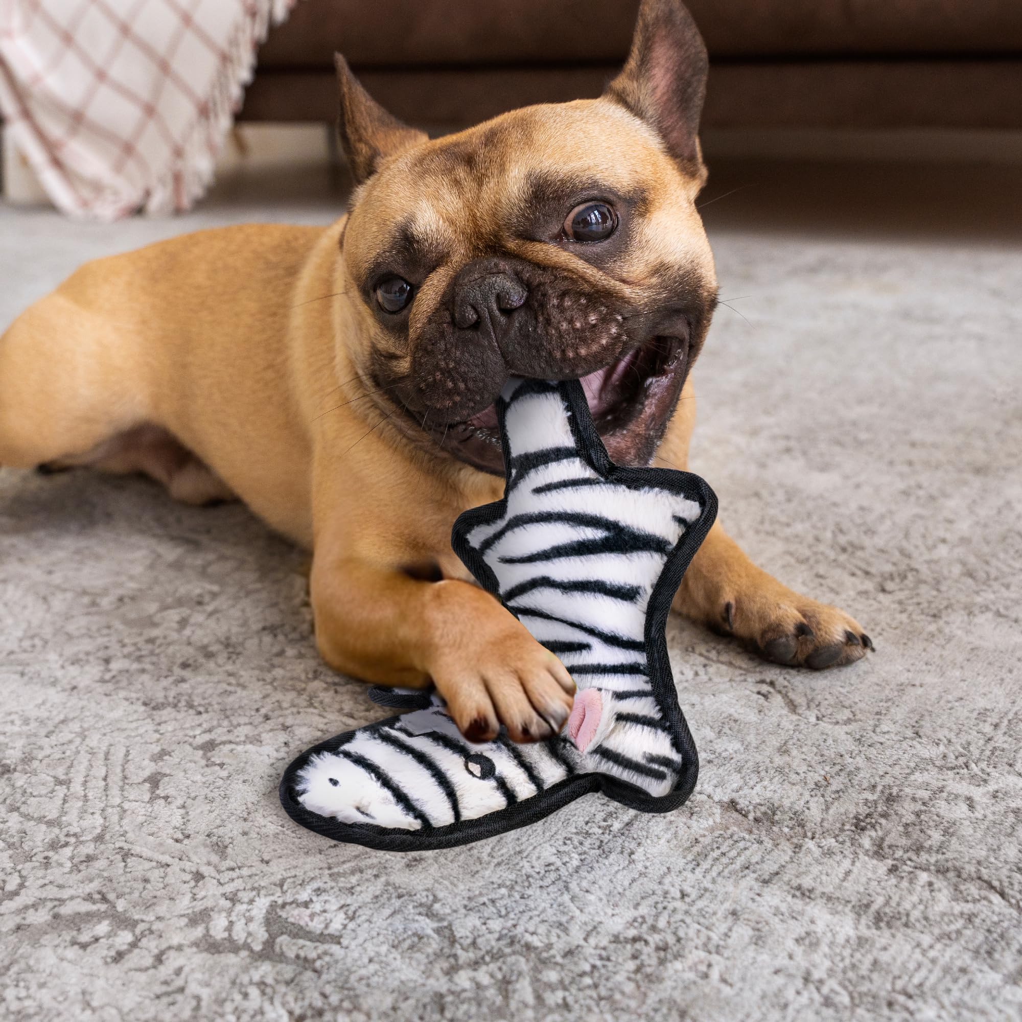 SHARLOVY animal shapes crocodile monkey zebra for active play