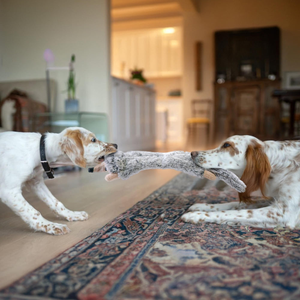 SHARLOVY large-breed chew toy pack for durable entertainment and energy release