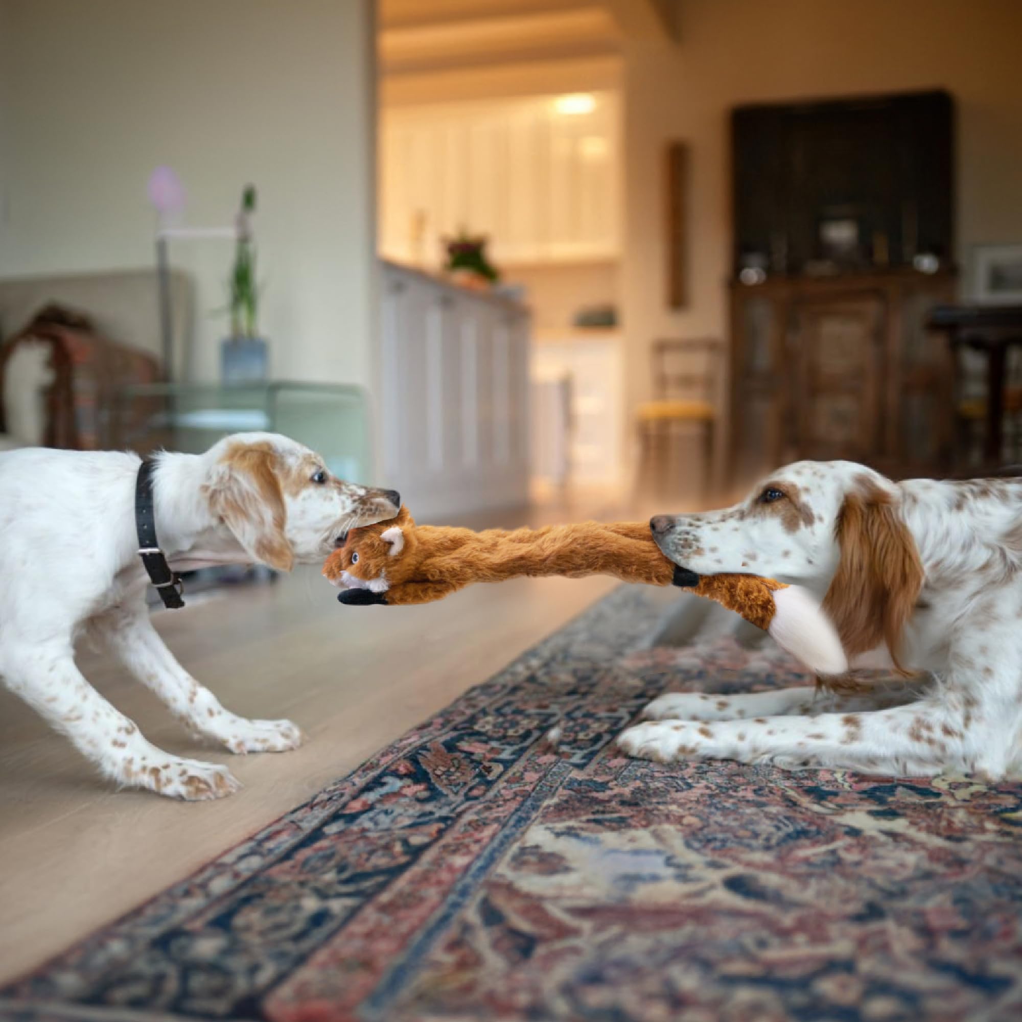 Sharlovy dog-toy gift-pack offers versatile options for birthdays and holidays.