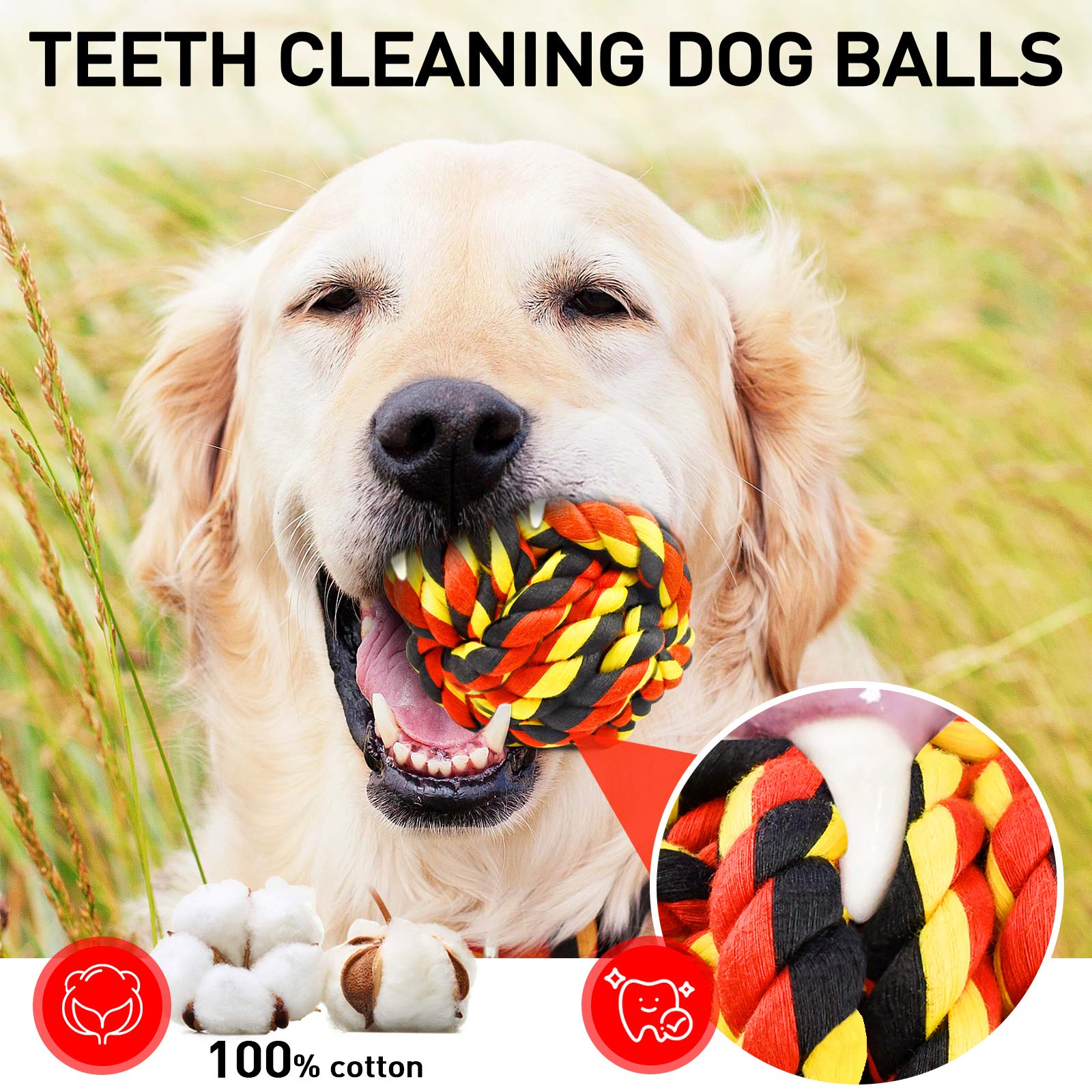 SHARLOVY indestructible ball set—6-pack for continuous play sessions.