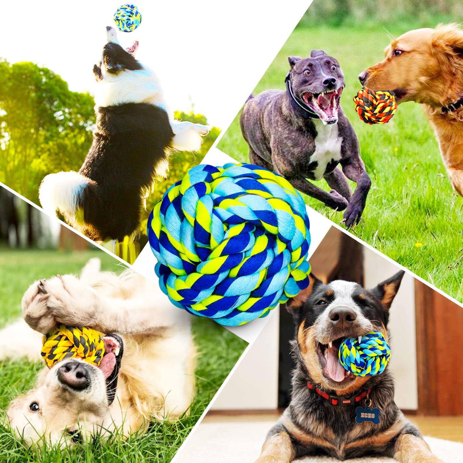 SHARLOVY dog ball for training—improves agility with irregular movement.
