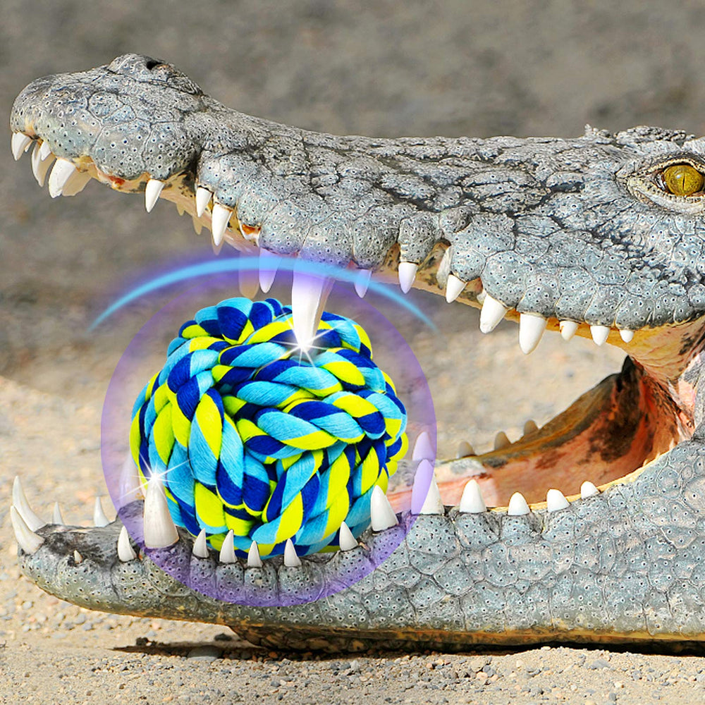 SHARLOVY chew toy—safe, fiber-rich rope cleans teeth during chewing.