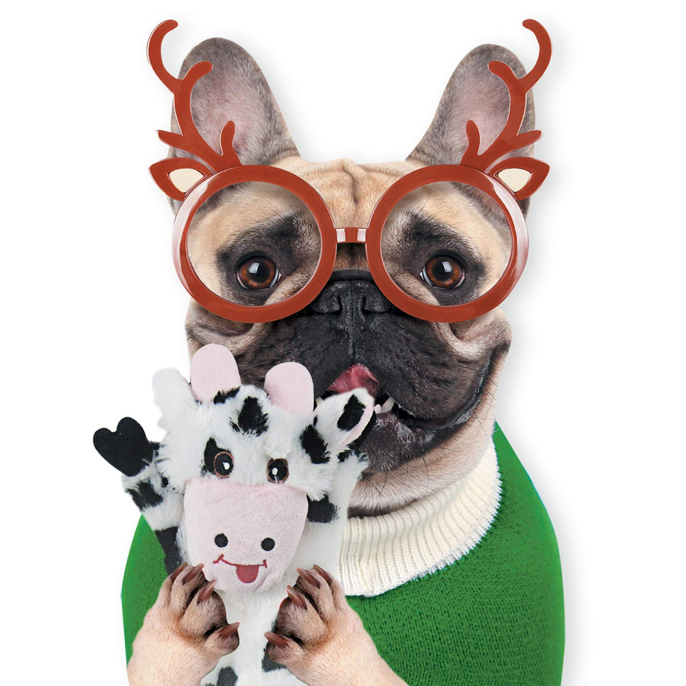 SHARLOVY squeaky-crinkle toys create multi-sensory engagement during training or boredom relief.