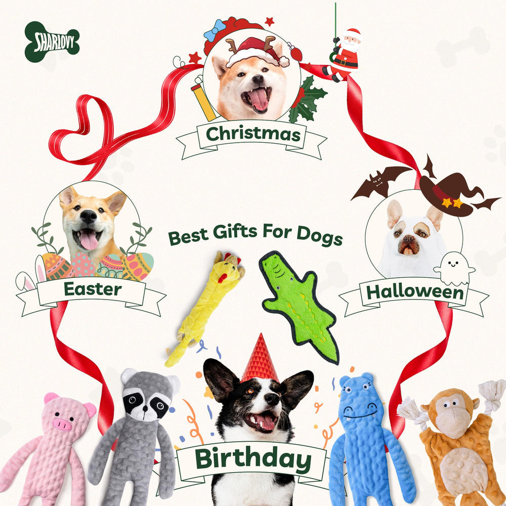 SHARLOVY gift-ready dog toy ideal for holidays and gifting