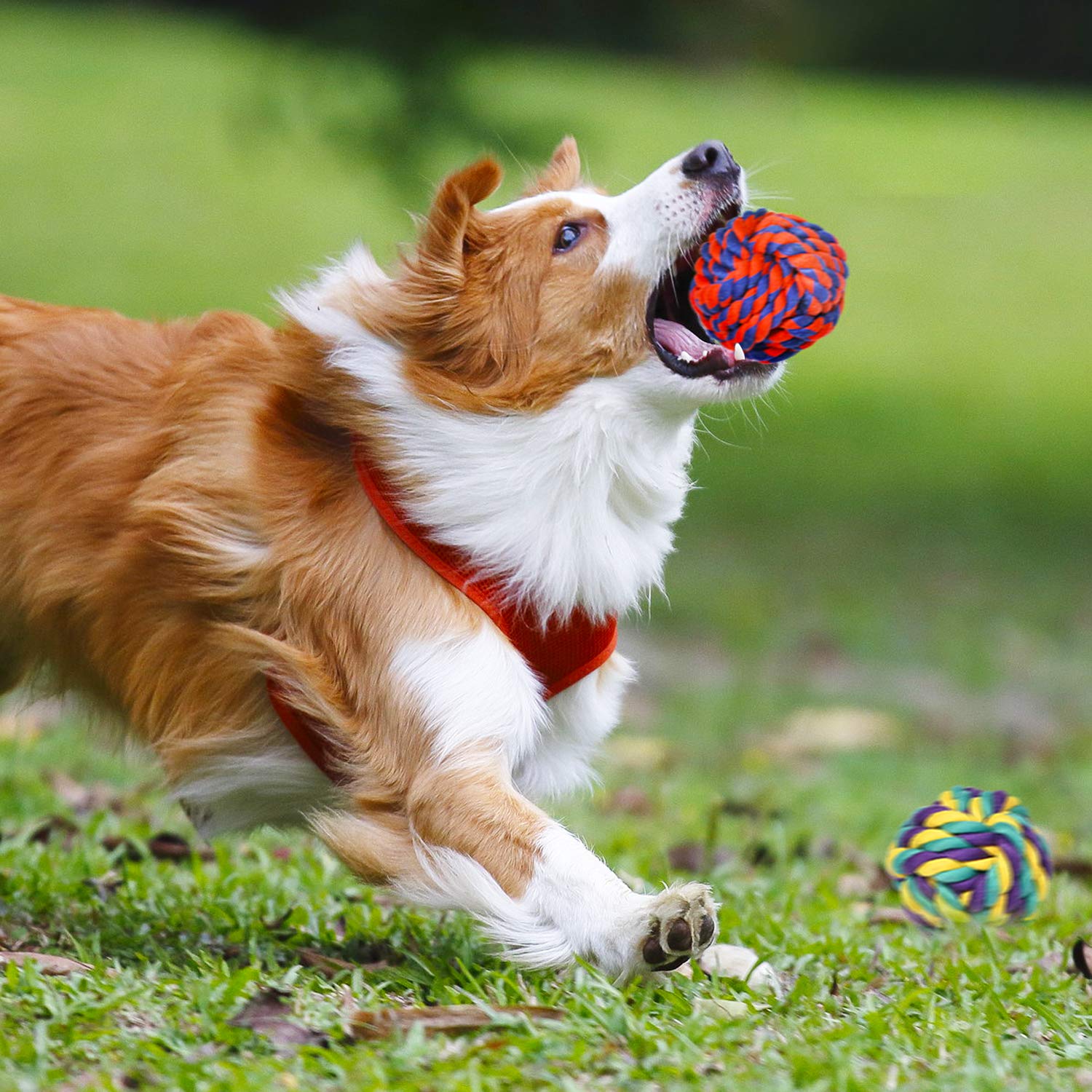SHARLOVY indestructible rope toy bundle emphasizes durability for energetic chewers