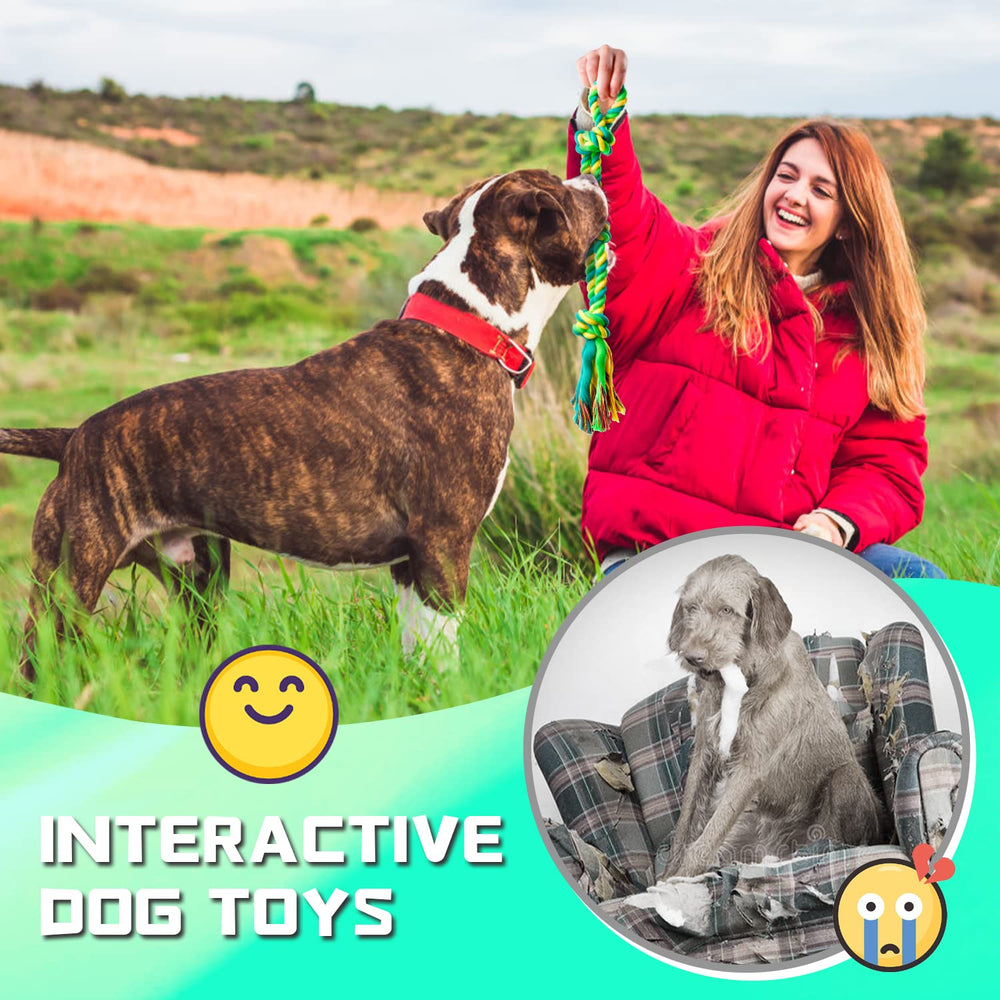 SHARLOVY large-breed tug toy ideal for supervised play and training sessions.