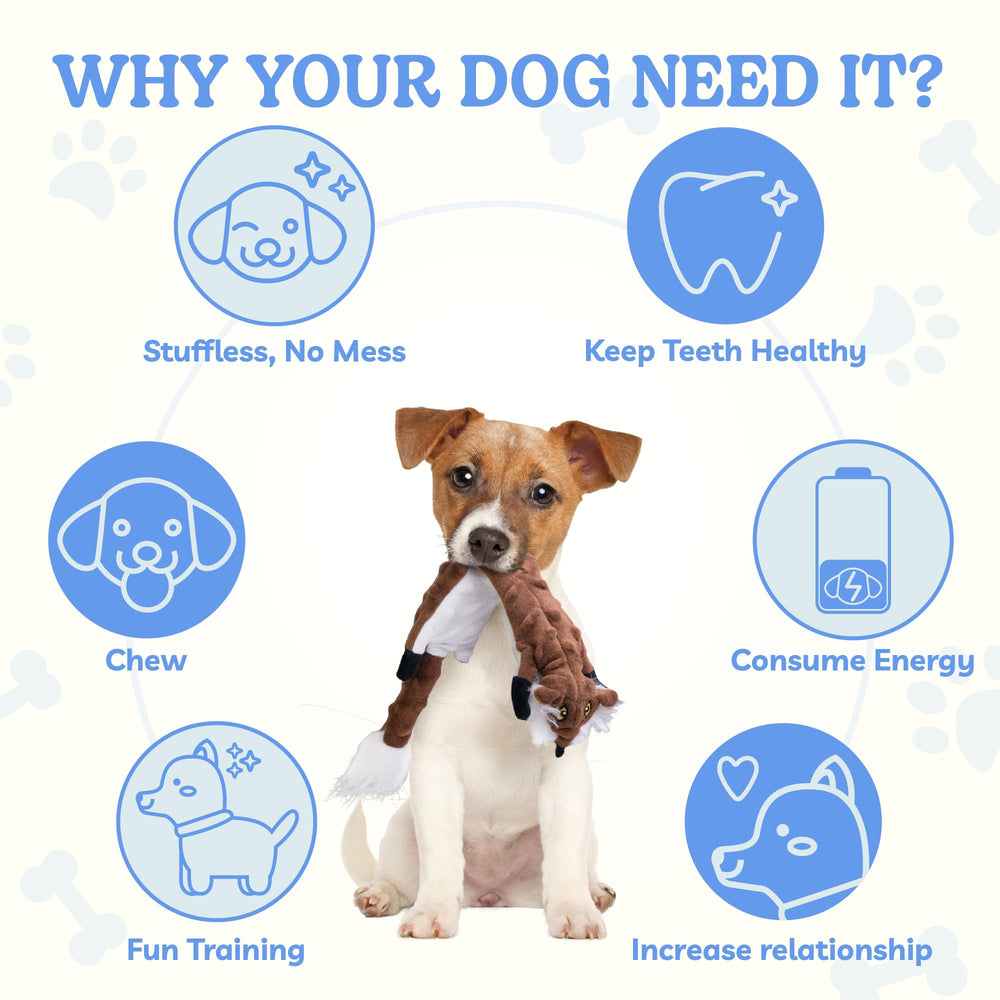 SHARLOVY three-sizes dog toys fit small, medium, and large breeds.
