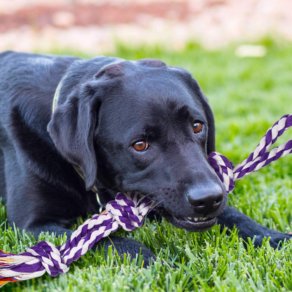 SHARLOVY wear-resistant cotton rope supports aggressive chewers during supervised play