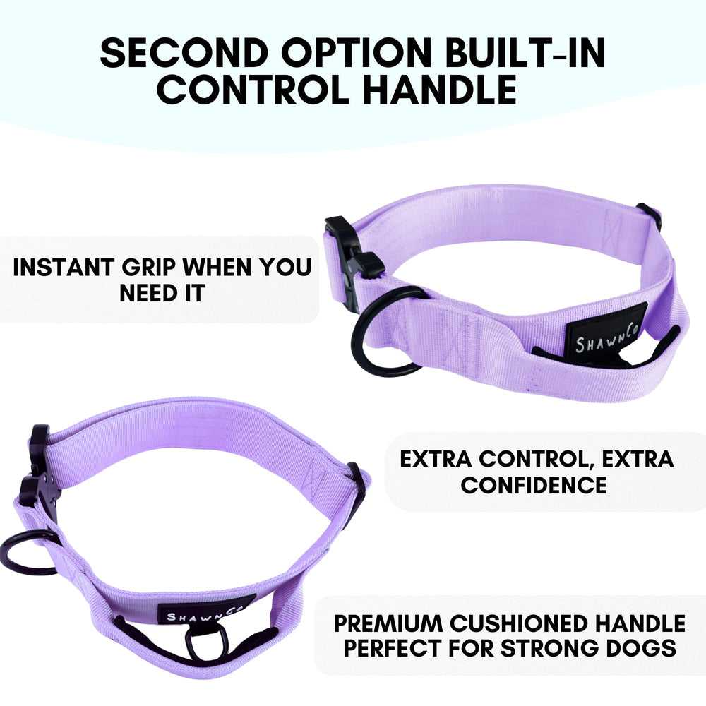 ShawnCo Basecamp collar with handle demonstrates enhanced control during walks
