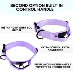 ShawnCo Basecamp collar with handle demonstrates enhanced control during walks
