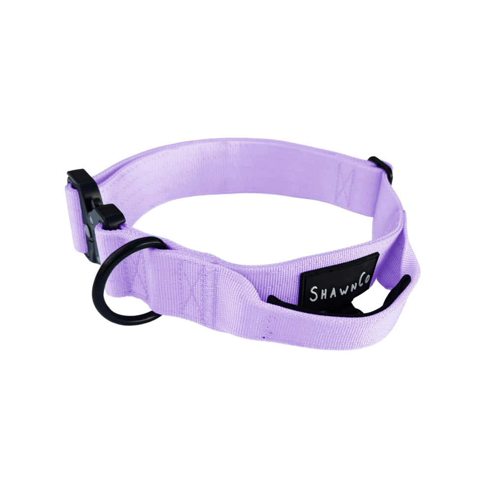 ShawnCo Basecamp dog collar in icy lilac shows rugged daily wear suitability