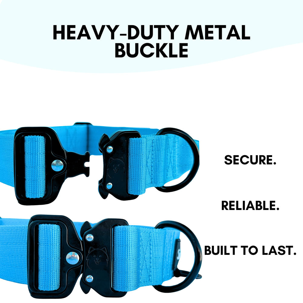 ShawnCo Basecamp metal buckle closeup emphasizes secure leash attachment