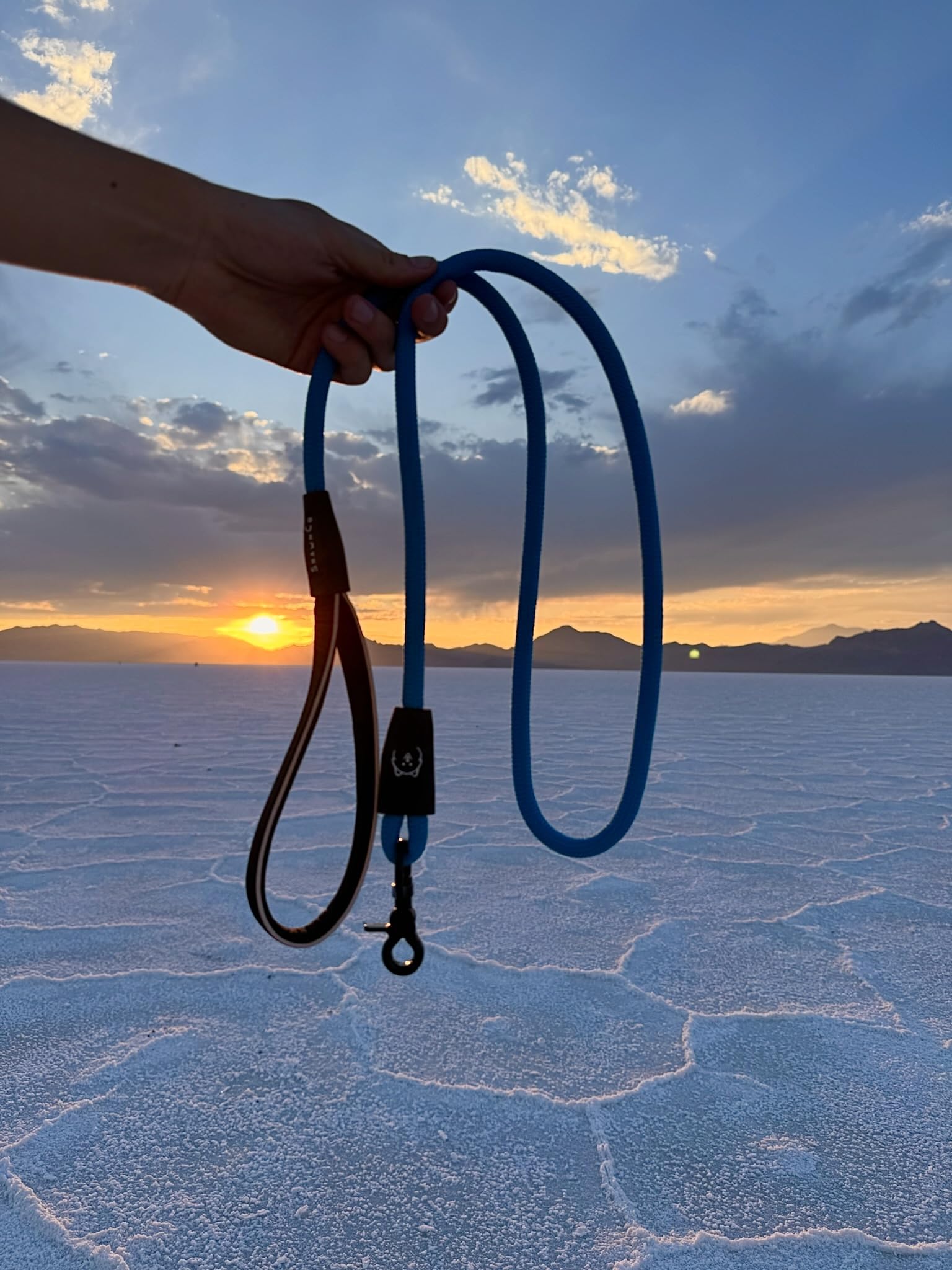 ShawnCo Basecamp rope dog leash used on park walks with dogs