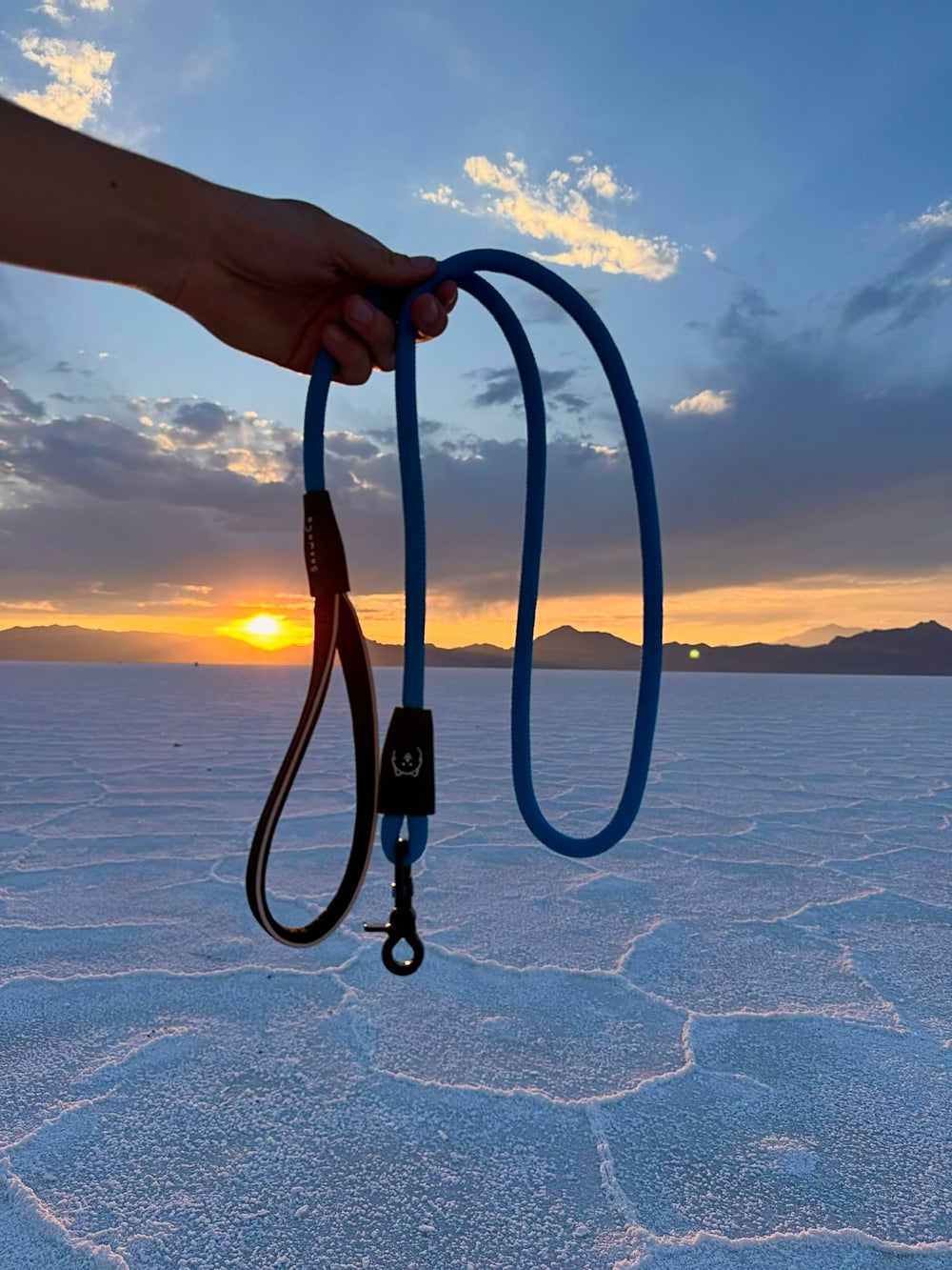 ShawnCo Basecamp rope dog leash used on park walks with dogs