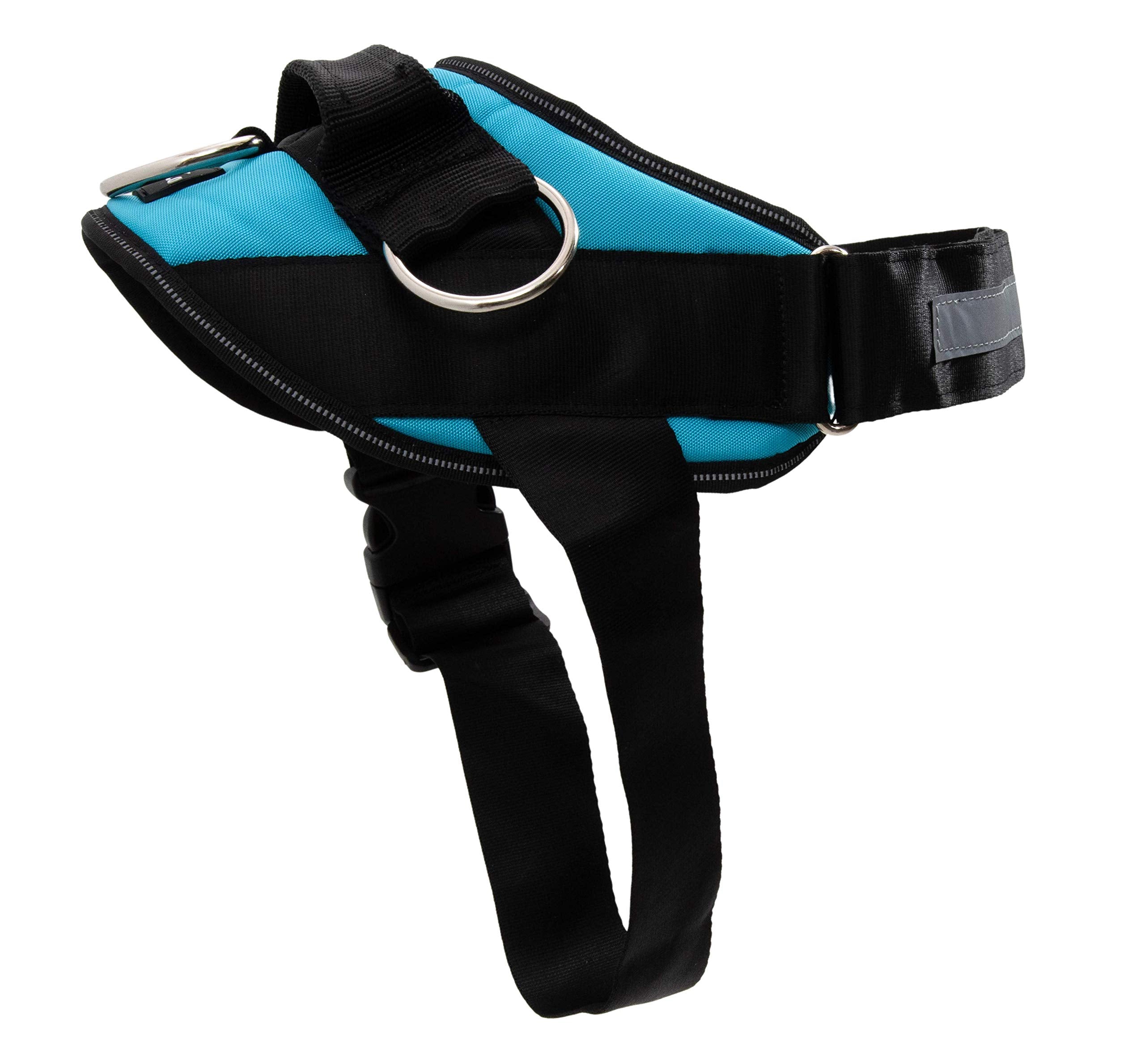ShawnCo Essential Dog Harness with 3-Ring No-Pull Technology for controlled walks.