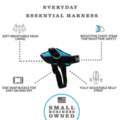 ShawnCo Essential Dog Harness shows adjustable fit for secure comfort across sizes.