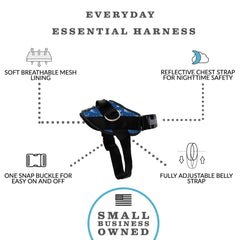 ShawnCo harness with reflective trim enhances night visibility during evening strolls.