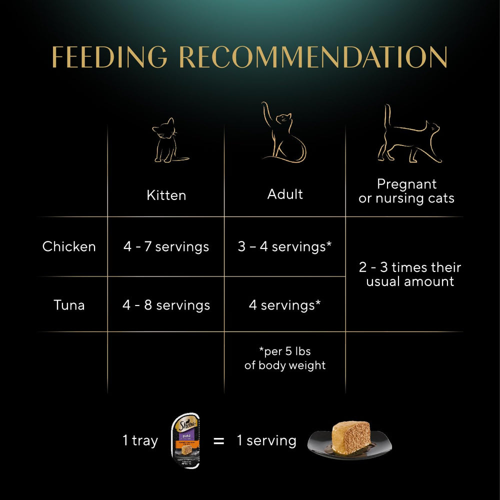 Cat enjoying Sheba pate portion, quick serving and hydration-friendly meal.