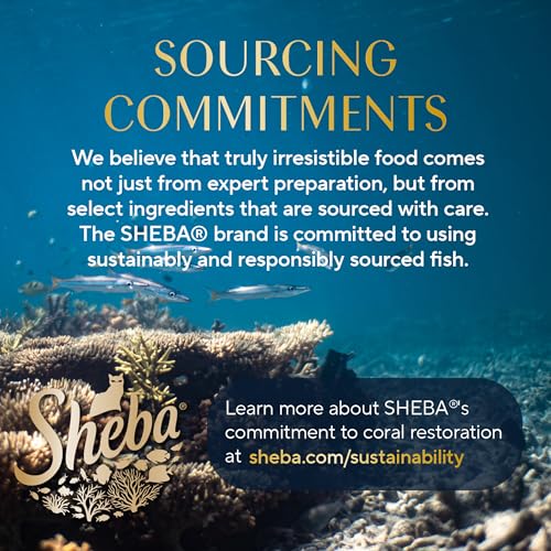 Sheba Perfect Portions packaging close-up shows 2.6 oz servings in twin-tray packs.