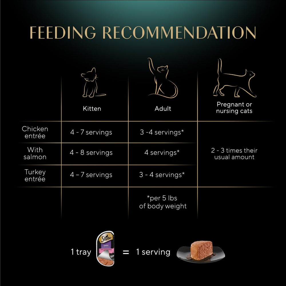 Sheba Perfect Portions Pate cat eating—protein-rich bite with moisture for hydration.