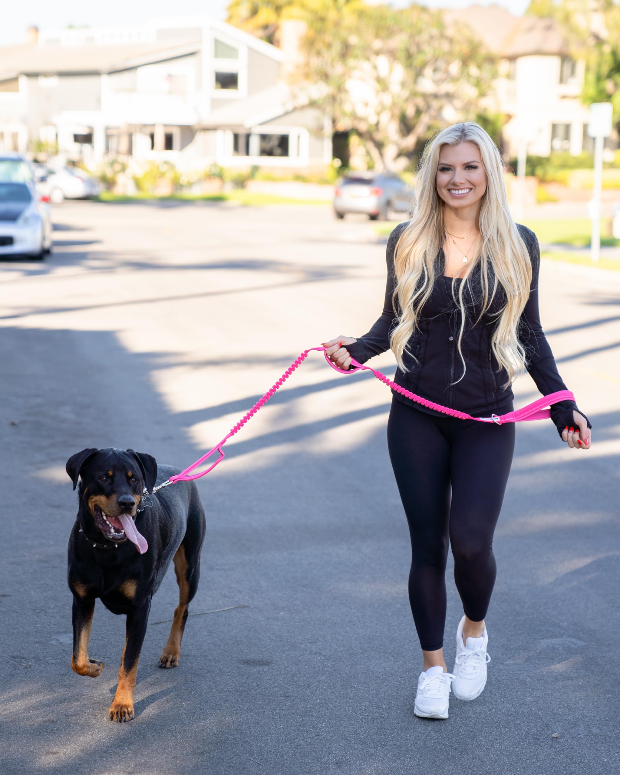 Shed Defender heavy-duty materials frame a durable leash for long sessions.