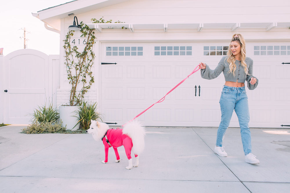 Shed Defender paw-it-forward donation image connects walking gear to shelters.
