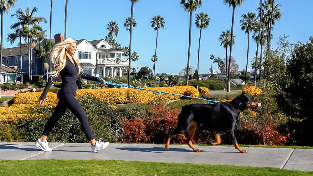 Shed Defender soft neoprene-padded handles promise comfortable control during busy park outings.