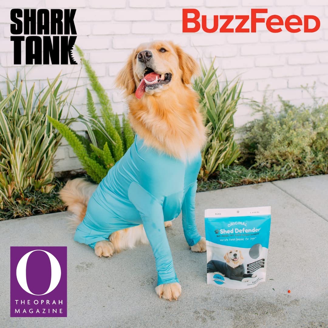 Shed Defender Sport dog onesie on a dog lounging on a couch to reduce shed mess.