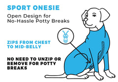 Shed Defender Sport dog onesie outdoors during hike protects from elements.