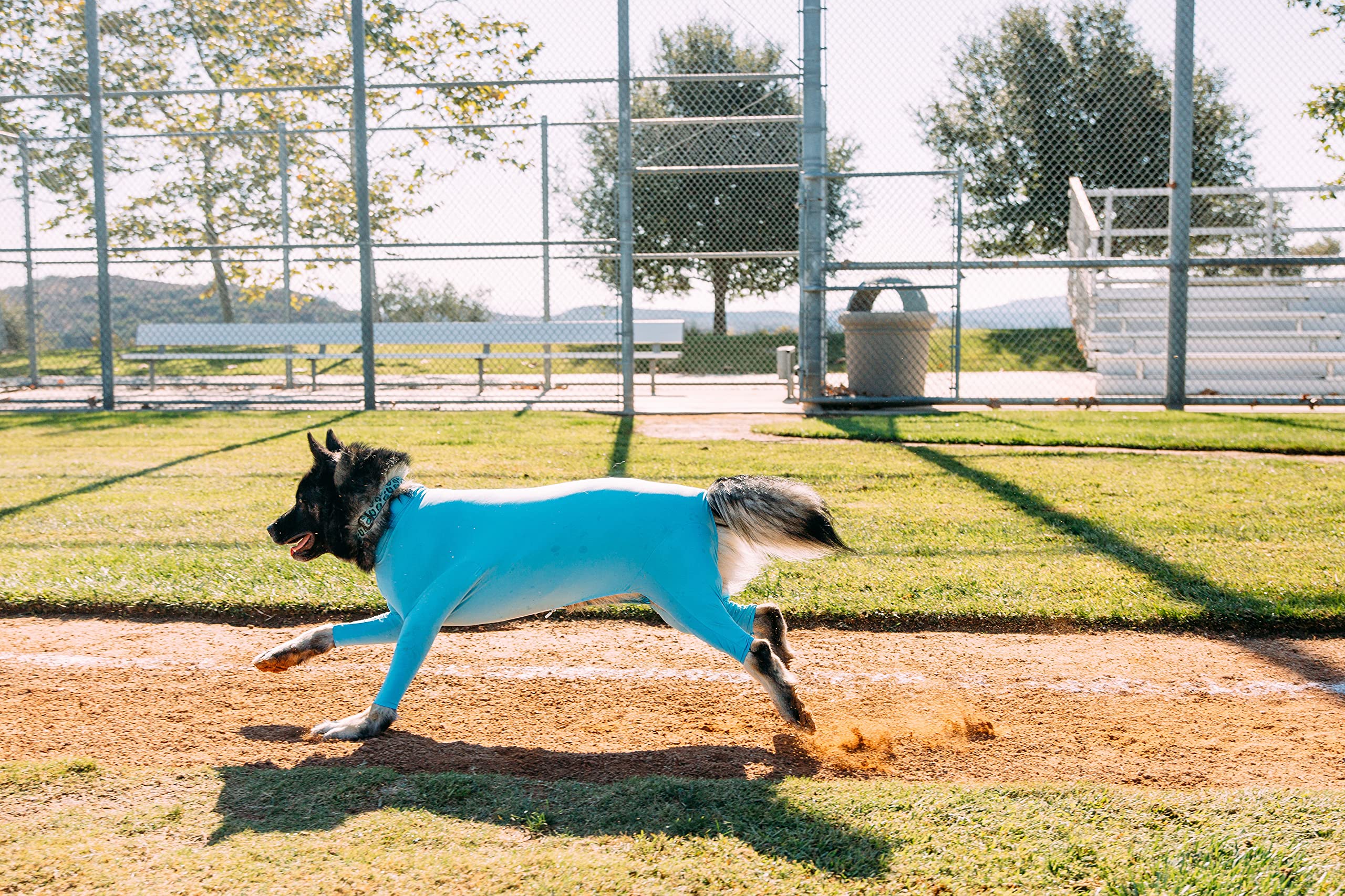 Shed Defender Sport dog onesie veterinarian-approved and trusted.