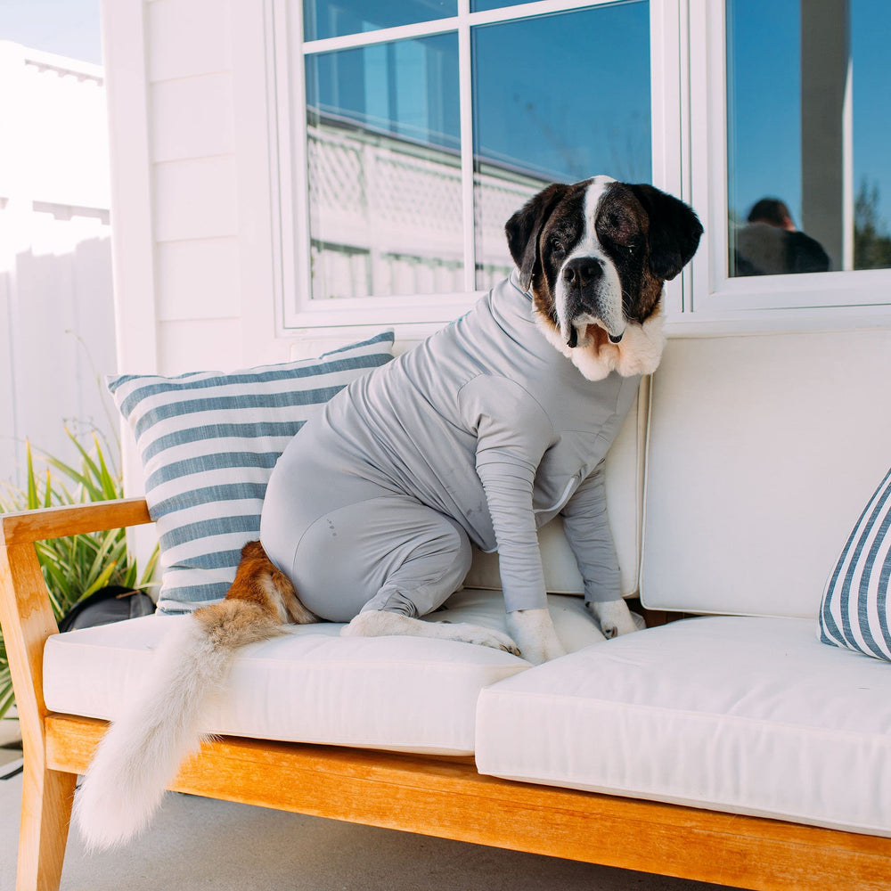 Shed Defender Sport image highlights Paw It Forward shelter donation program.
