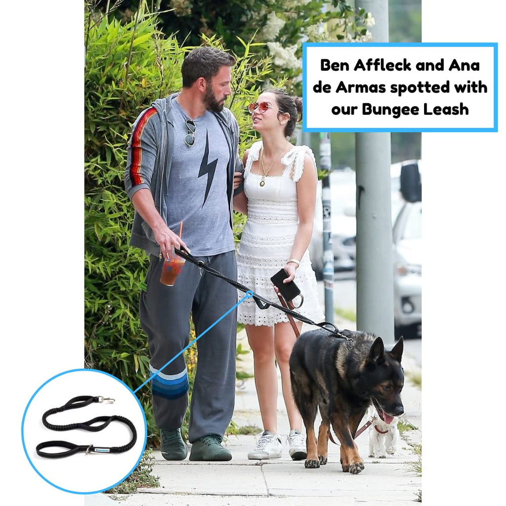 Shed Defender stretch-length-4-7ft leash demonstrates adjustable reach for close control or relaxed roaming.