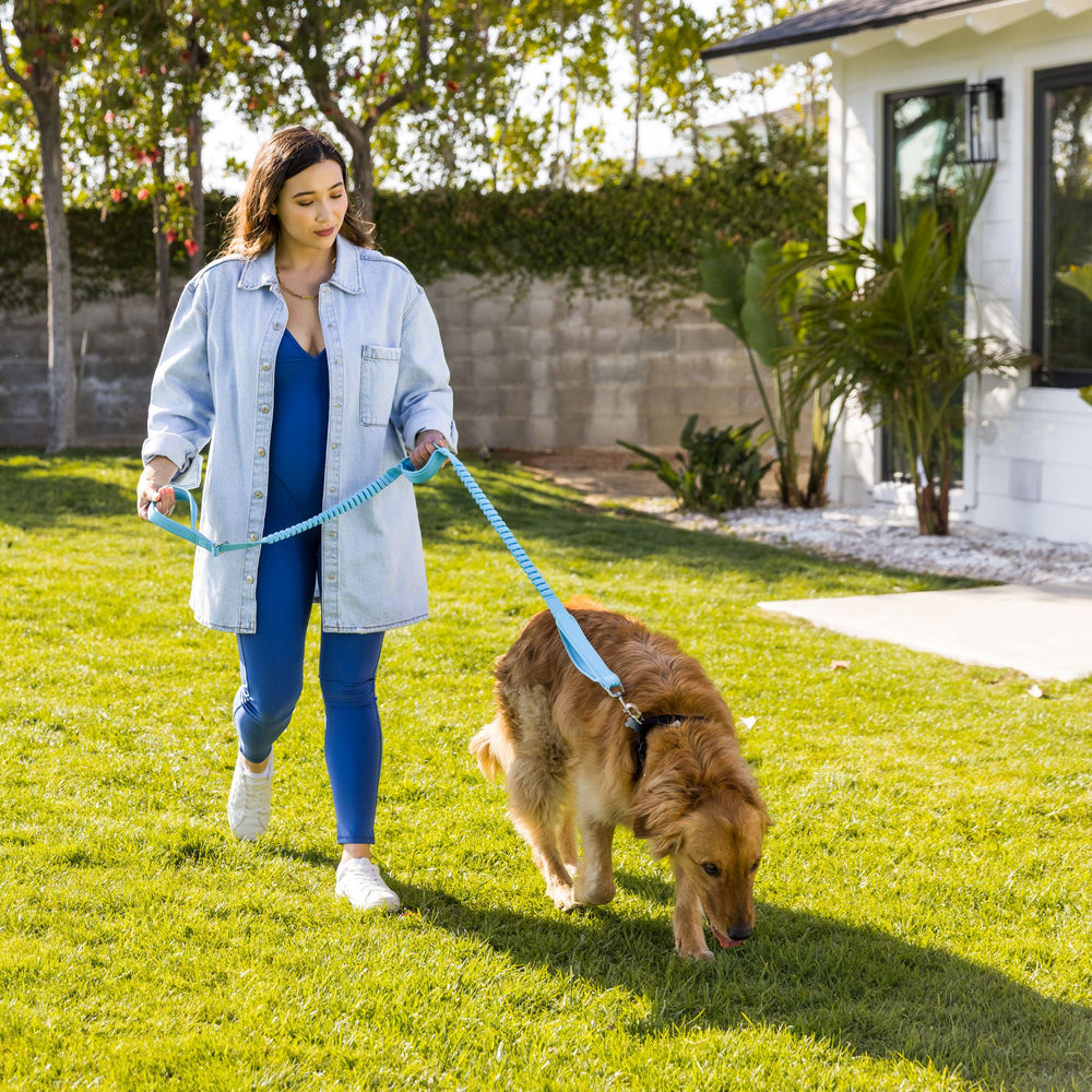 Shed Defender stretches from four to seven feet offering versatile space for dogs.