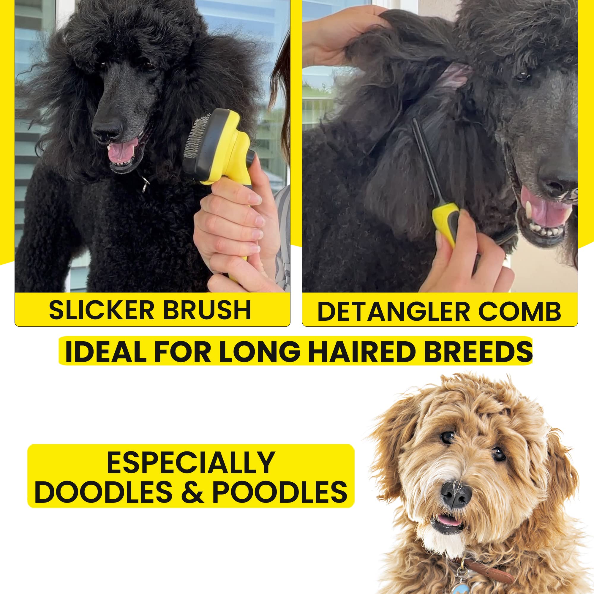 SHEDTITAN ShedTitan Doodle Brush addressing mats and tangles during grooming
