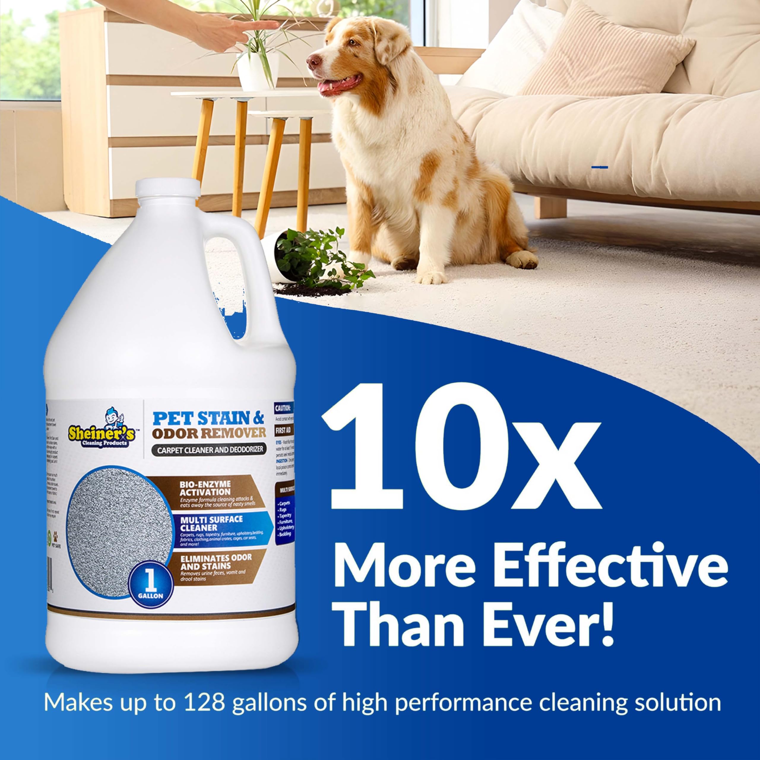 sheiner's pet-urine-cleaner carpet deep-clean shows stain removal on carpet