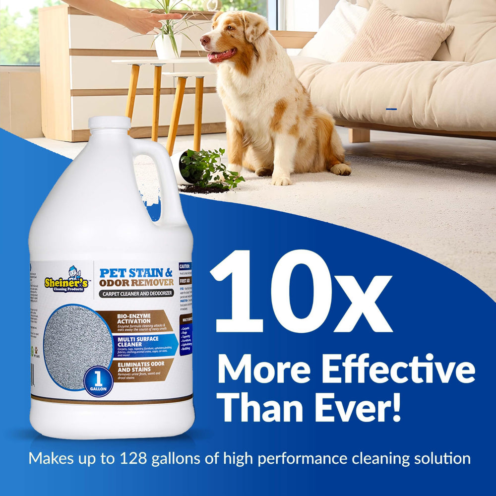 sheiner's pet-urine-cleaner carpet deep-clean shows stain removal on carpet