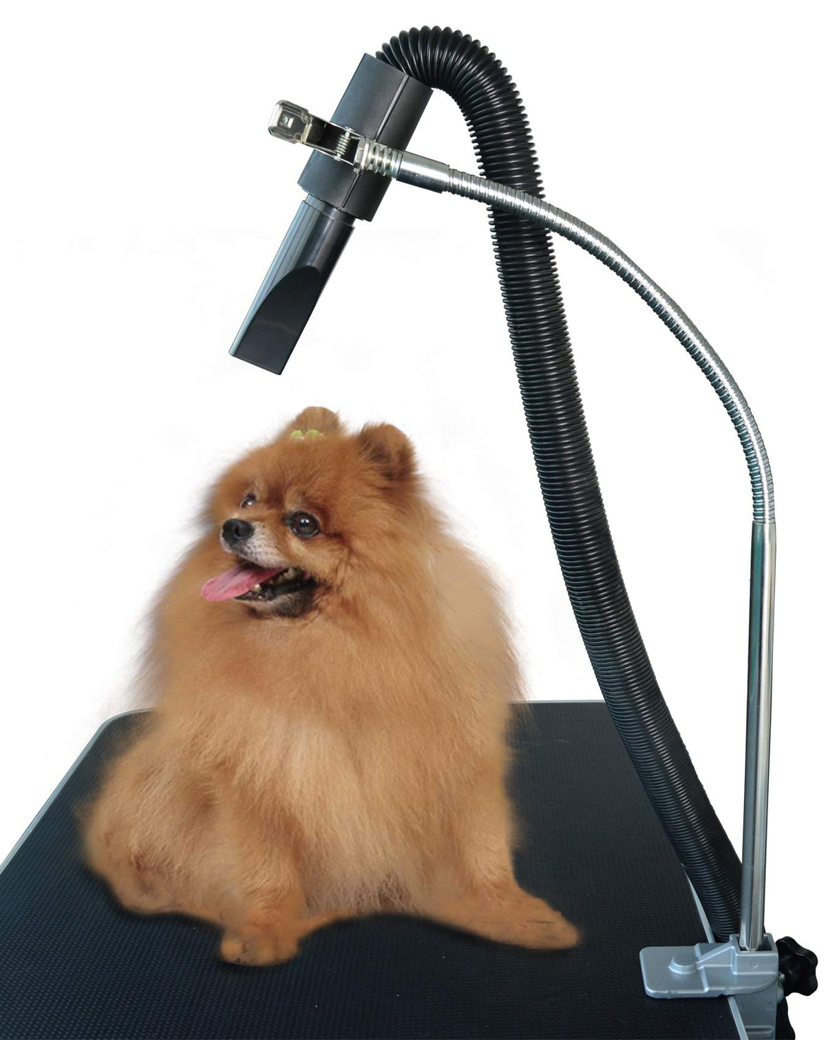 SHELANDY dog drying arm gooseneck provides hands-free positioning for faster, gentler pet drying.