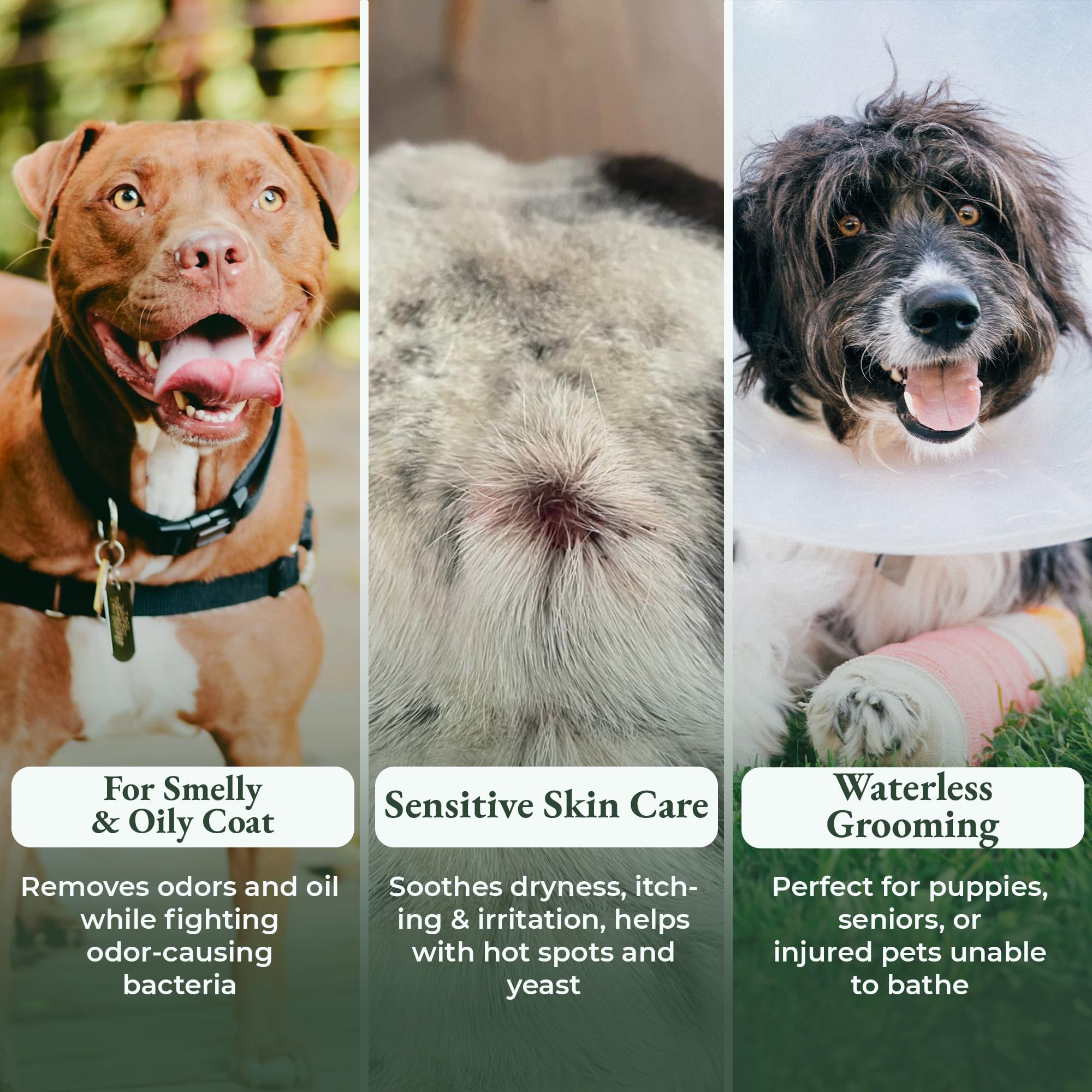 ShelterBaby antifungal action on dog fur suggests relief from itching and irritated skin.