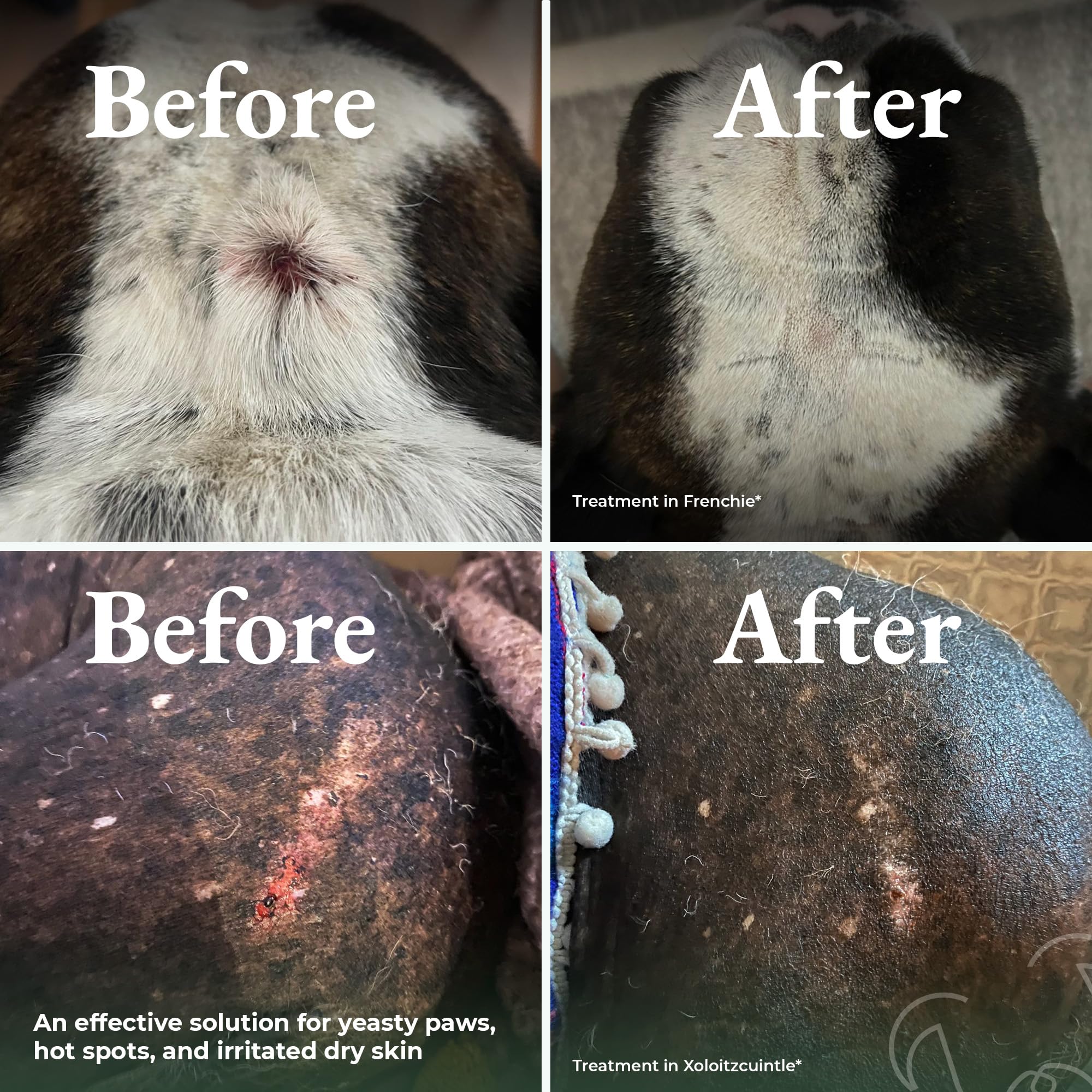 ShelterBaby waterless dust-on application demonstrates mess-free cleansing between baths.