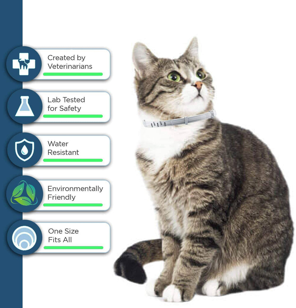 ShengKou flea collar cat 12-month protection highlighting long-lasting pest defense.